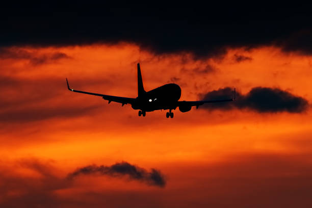 istock Aircraft landing at sunset 1301951236