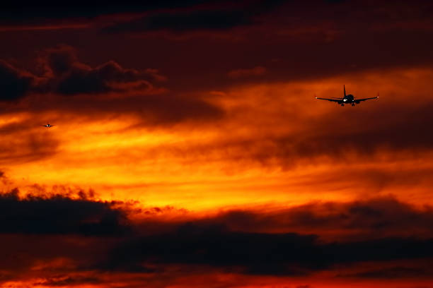 istock Aircrafts landing at sunset 1301951391
