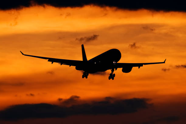 istock Aircraft landing at sunset 1301952041