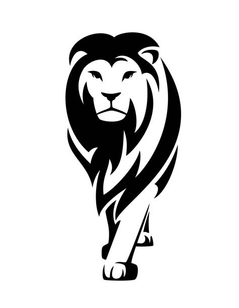 standing lion with long mane black and white vector portrait standing african lion with big mane en face portrait - wild big cat black and white vector design lion stock illustrations