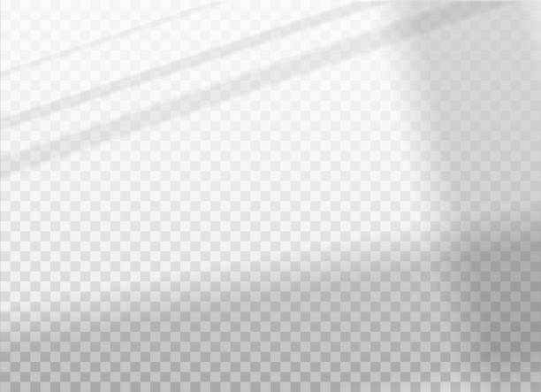 ilustrações de stock, clip art, desenhos animados e ícones de overlay shadow from the window on transparent background. vector realistic elements. transparent soft effect. natural lighting silhouette. eps10. - wall layers