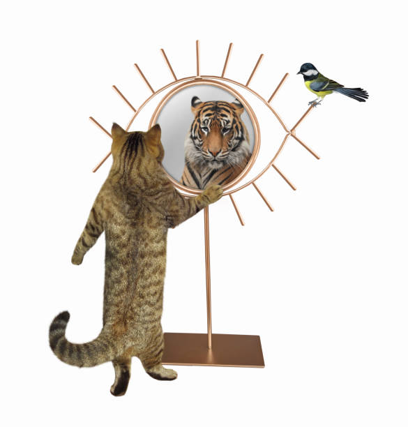 istock Cat stares at eye shaped mirror 1301956542