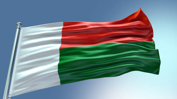 istock Madagscar flag waving flag with texture background 1301956636