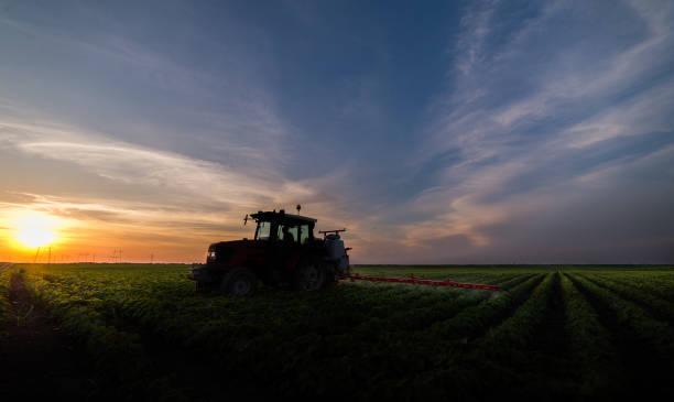 istock Tractor spraying pesticides on soy field  with sprayer at spring 1301956694