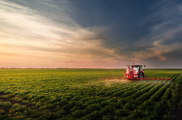 traktor sprüht pestizide auf sojafeld mit spritzer im frühjahr - plantage stock-fotos und bilder