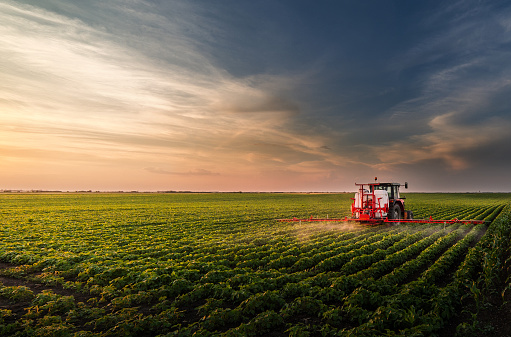 Tractor rocía pesticidas en el campo de soja con pulverizador en primavera photo