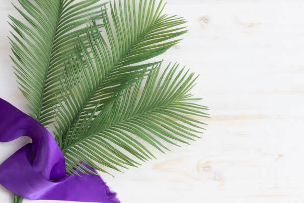 Lent palms and purple ribbon Lent palms with purple ribbon or sash on white wood background with copy space lent stock pictures, royalty-free photos & images