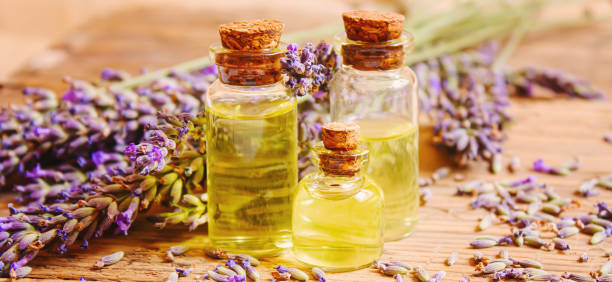 istock Lavender essential oil in a small bottle. Selective focus. 1301958926