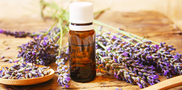 istock Lavender essential oil in a small bottle. Selective focus. 1301958939