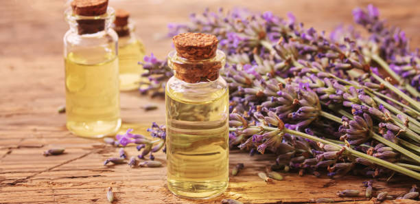 istock Lavender essential oil in a small bottle. Selective focus. 1301959004