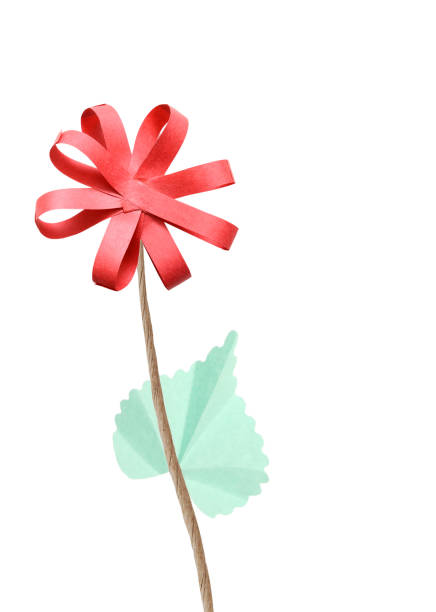 Flower paper origami flower isolated white