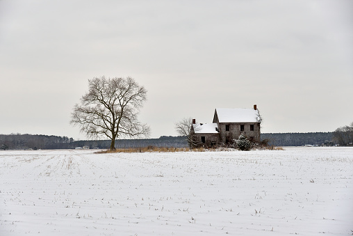 An abandoned farmhouse isolated in a snowy field with a lone tree to keep it company.  Truly a Bleak House.