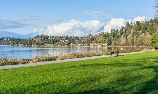istock Shoreline From Lincoln Park 3 1301966205