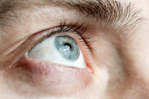 istock Light gray-blue eye looks up. Close-up 1301967511