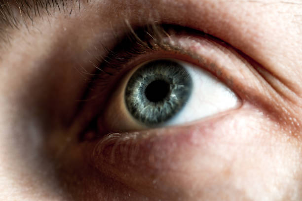 istock Light gray-blue eye looks up. Close-up 1301967512