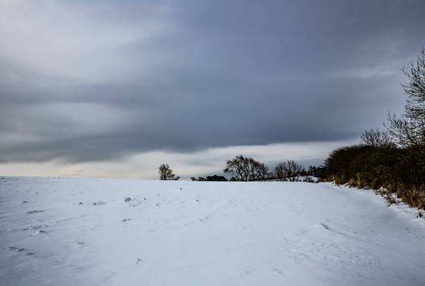 istock Snowy Winter Pastures Of Selkirkshire. 1301968619