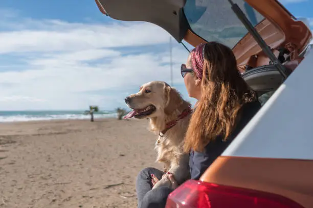 Photo of Happy woman and her dog sitting the trunk of a car at the beach.