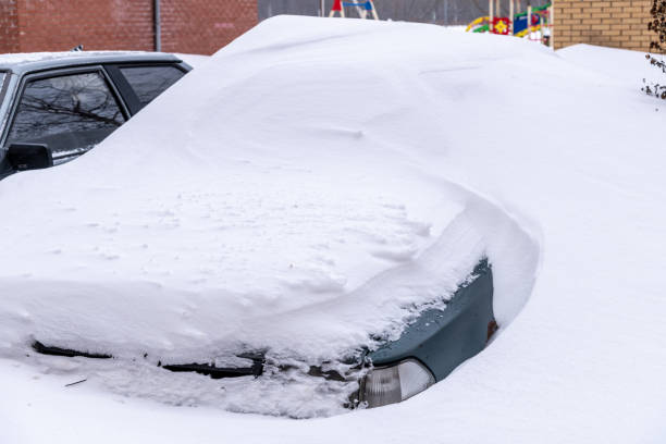 istock Cars buried under the snow 1301971483
