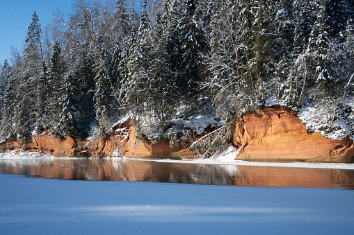 Sandstone cliffs next to the river Gauja in the Gauja National Park on a sunny winter day