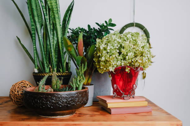 istock Potted houseplants on wooden table. 1301980194
