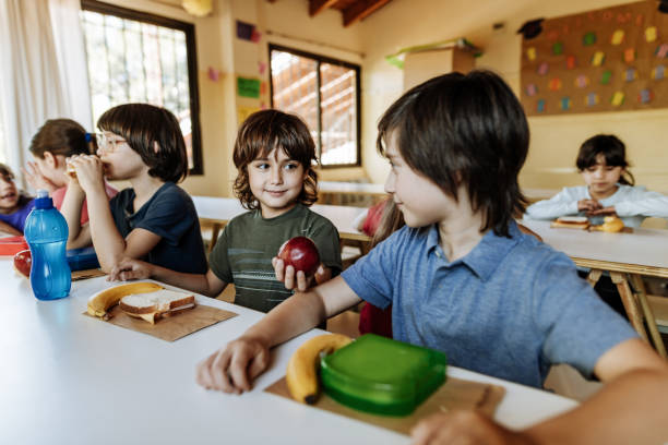Elementary education in Latin America