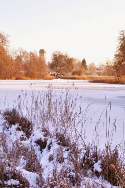 istock Frozen canal in January 1301991606
