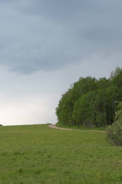istock Rural landscape against the sky 1301992723