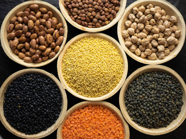 istock Dried, legume, leguminous plants, structure, assortment chickpea, kidney beans, pink coconut beans, green lenses, beluga lenses, millet, coral lenses, blond lenses, background. Flat lay, top view. 1301994810