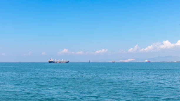 istock Smoky view from sea on distant cargo ships 1301995866
