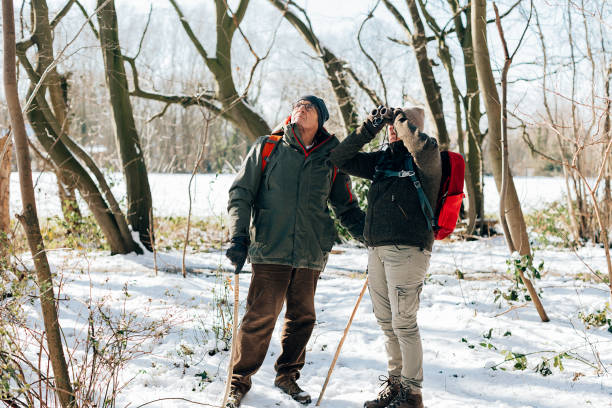 vista frontale di una coppia senior in una foresta innevata per il birdwatching - osservare gli uccelli foto e immagini stock