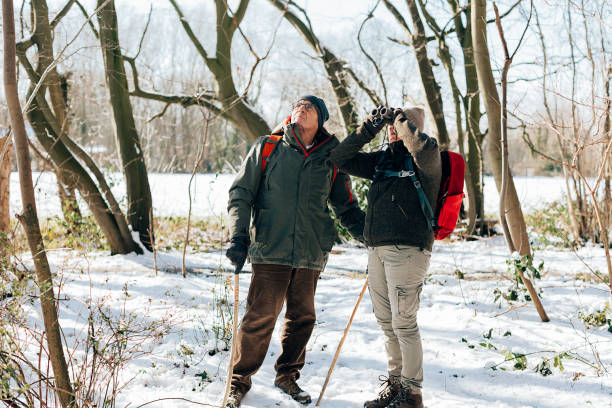 front view of a senior couple in a snowy forest for bird watching front view of a senior couple in a snowy forest for bird watching bird watching stock pictures, royalty-free photos & images