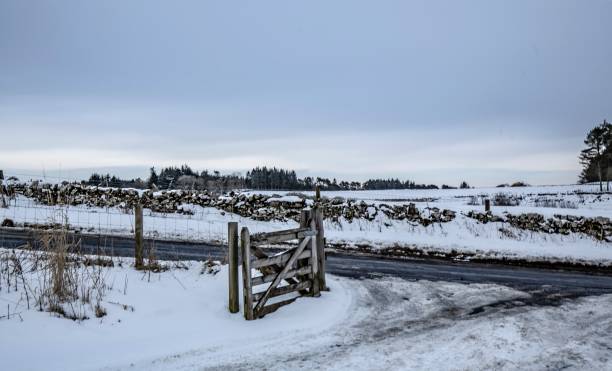 istock Snow Covered Gates & Fences. 1301997743