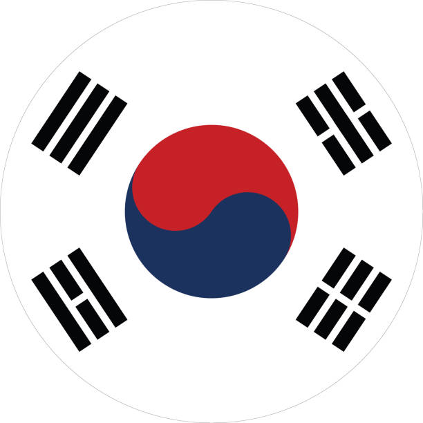 круговой флаг республики корея - south korea stock illustrations