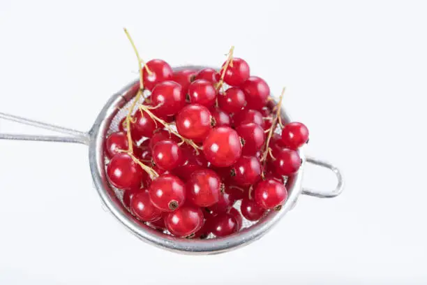 Redcurrants washed under running water on a sieve