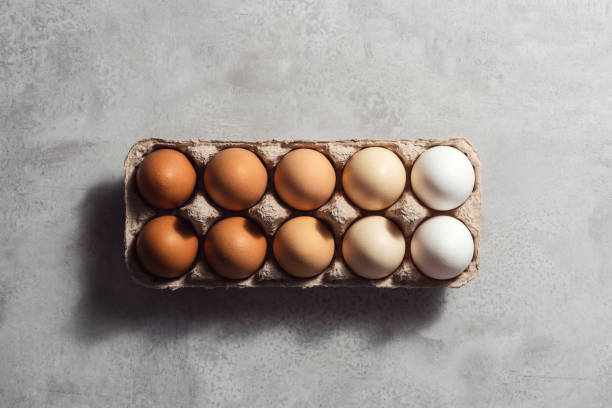 istock Box of eggs on gray background 1302002757