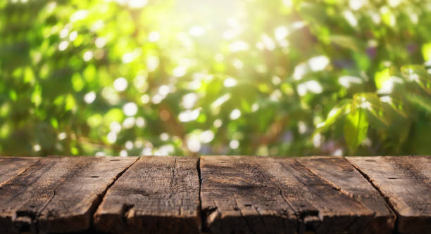 Empty rustic wooden table with defocused lush foliage at background. Backdrop for product display on top of the table.