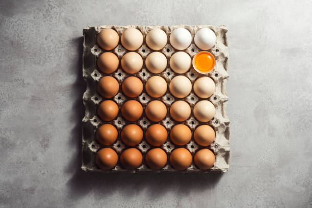istock Box of eggs on gray background 1302002836