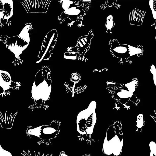 Vector illustration of Vector chicken, hen und cock white silhouettes on black background. Poultry business background.