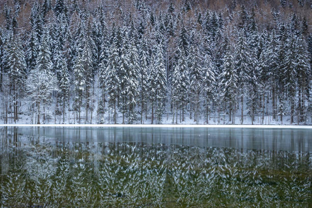 Frozen winter lake in the mountains covered with snow. Plansar lake, Jezersko Slovenia.