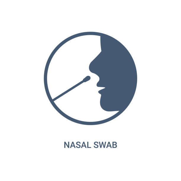 ilustrações de stock, clip art, desenhos animados e ícones de covid nasal swab icon. corona virus nasal pcr swab test line icon - microbiology analyzing laboratory scrutiny