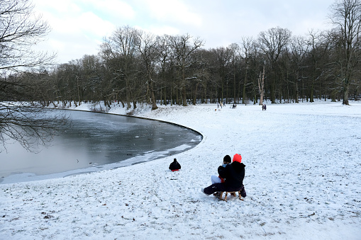 People enjoy the snow on  Bois de la Cambre urban public park in Brussels, Belgium on February 10th, 2021.
