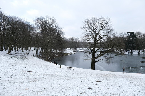 View of frozen lake in  Bois de la Cambre urban public park in Brussels, Belgium on February 10th, 2021.