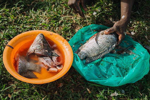 Man cutting a fish in preparation for cooking in Uganda, Africa