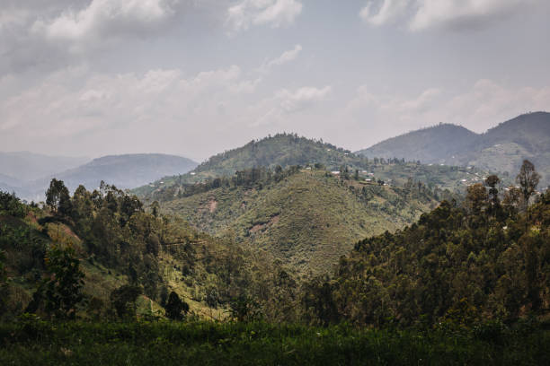 istock Rural area in Rwanda, Africa 1302009803