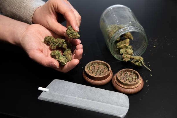 istock Cannabis buds in a hand and other smoking utensils on a table 1302010571