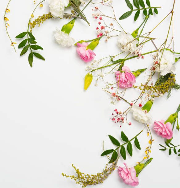istock pink and white flowers together with ornamental plants form a composition on a white background. copy space. 1302012089
