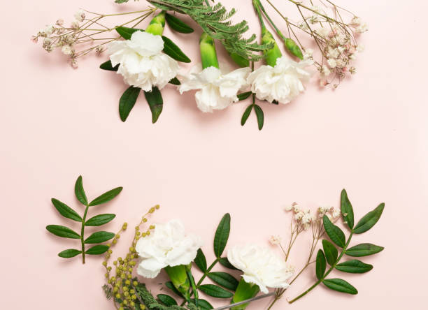 istock white flowers together with ornamental plants form a composition on a pink background. copy space. 1302012727