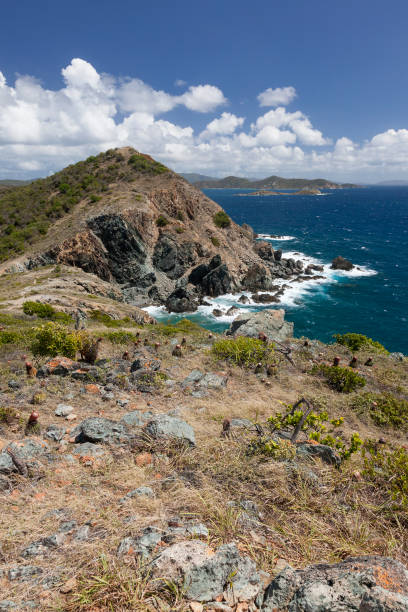 istock View of the St. John coastline 1302012870