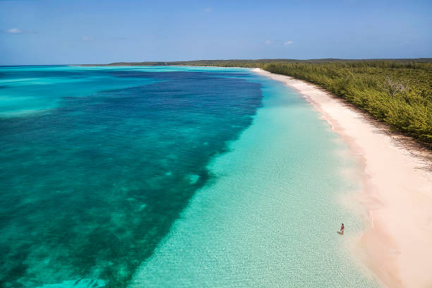 Aerial View on Cat Island Aerial view of a woman standing along the shoreline and enjoying the views of the turquoise waters and a brilliant pink beach in Cat Island, Bahamas exuma stock pictures, royalty-free photos & images