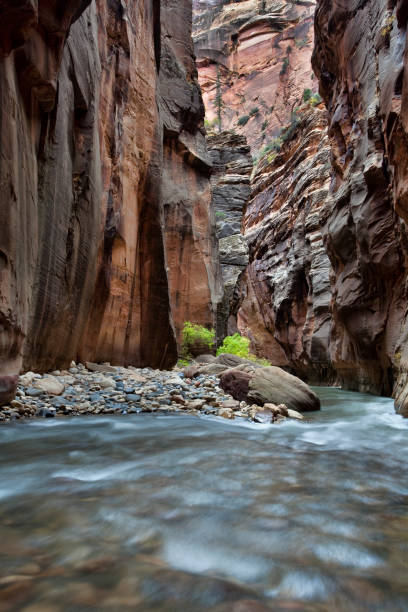 istock Virgin River Narrows in Zion National Park 1302013651